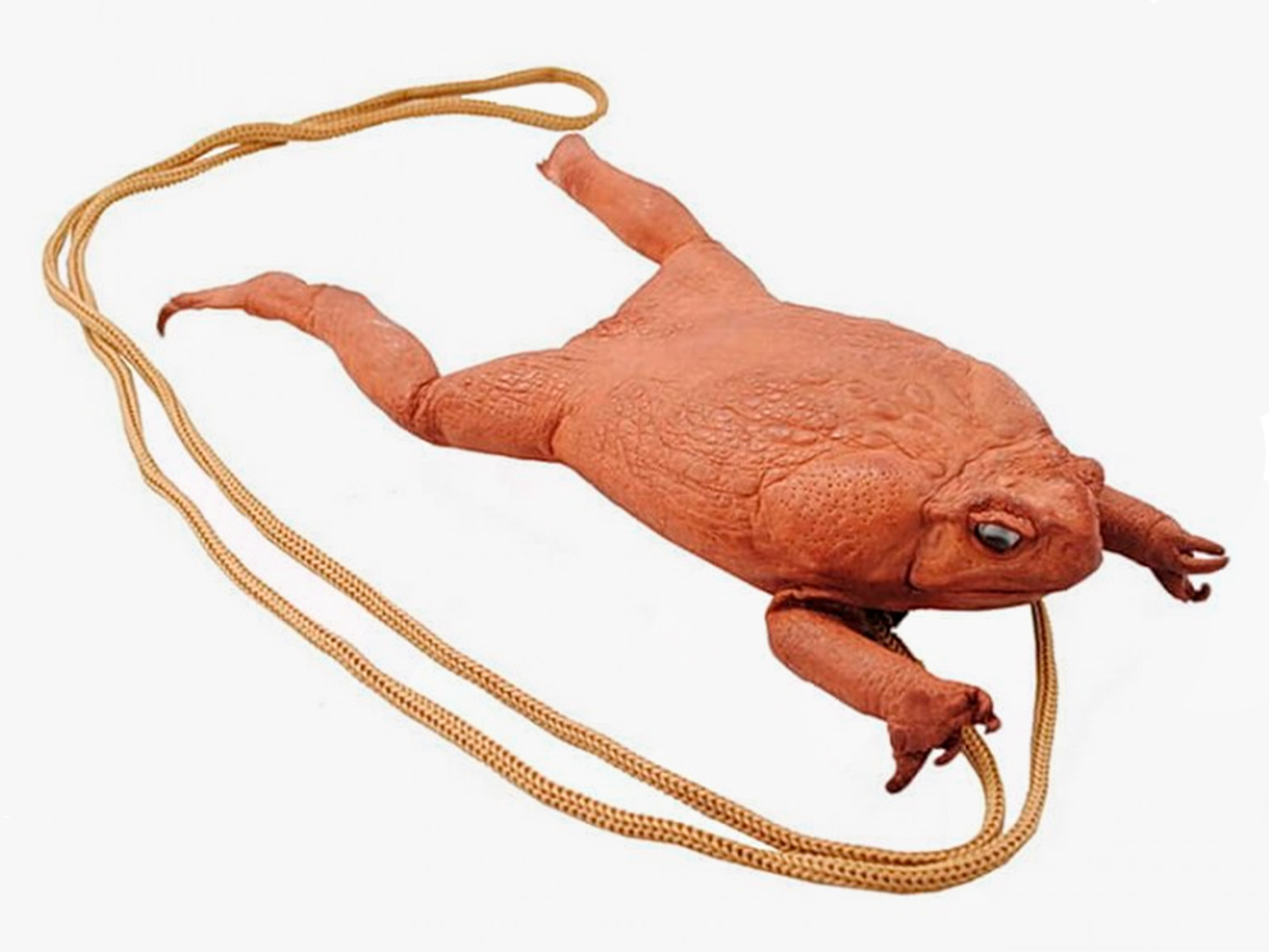 Вот такой вот чехол из жабы Ага обойдется в 6 600 руб.