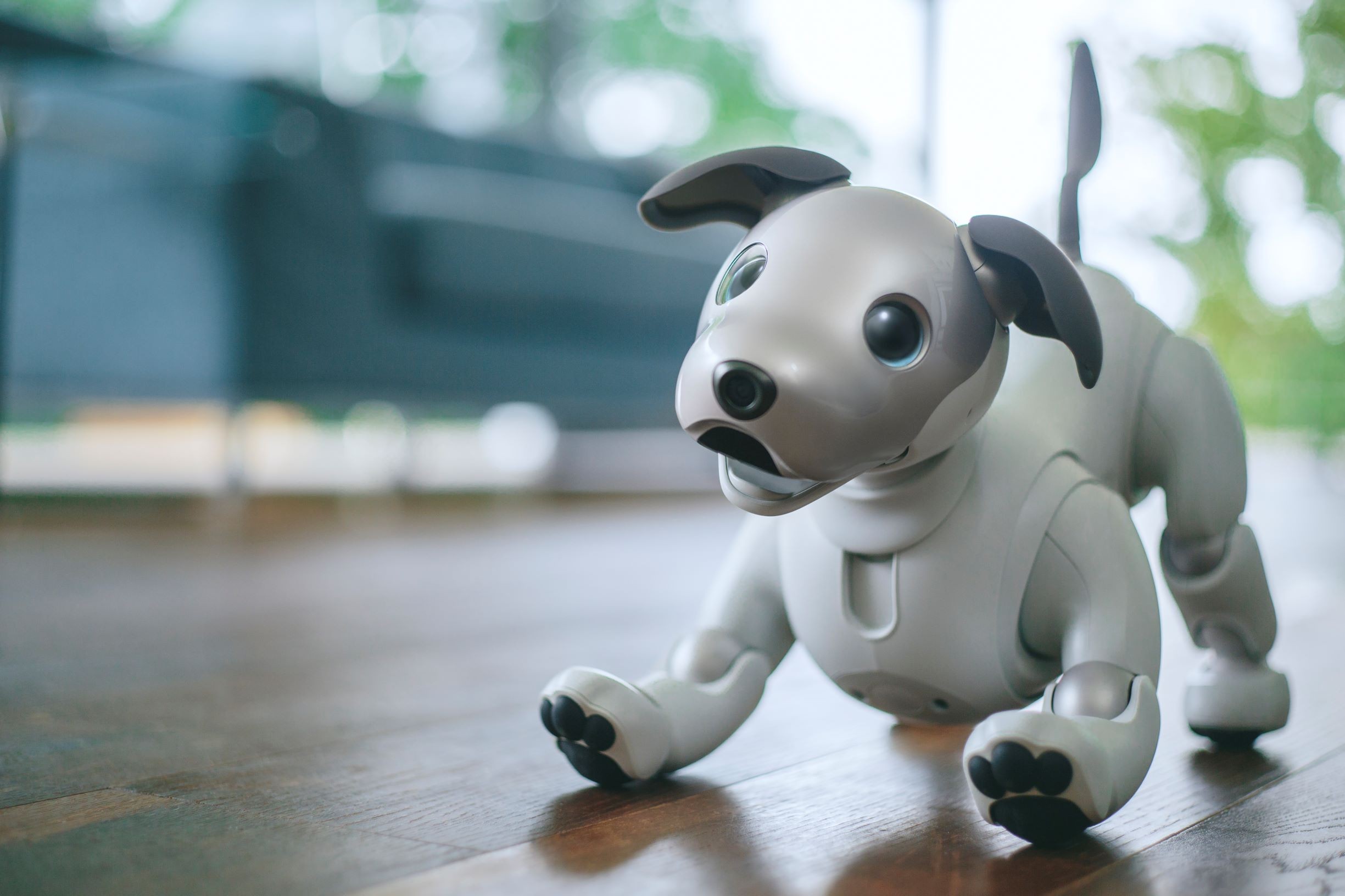 Первый в мире робопес AIBO